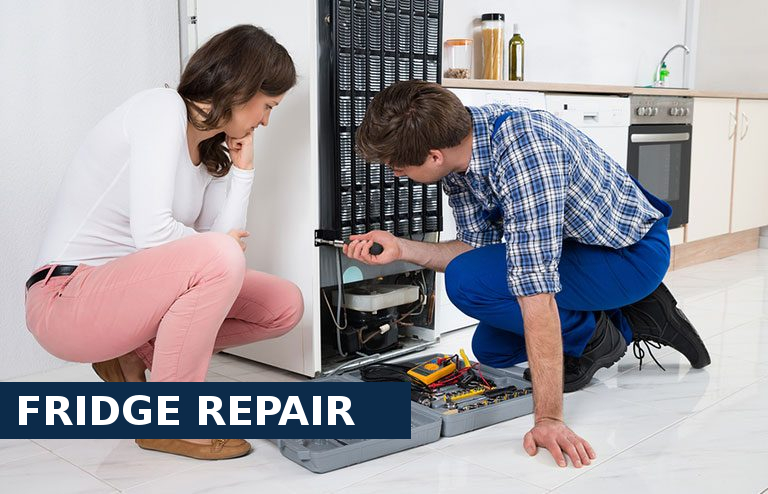 Fridge Repair Raynes Park